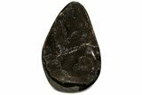 Polished Septarian Geode Sculpture - Black Crystals #124538-1
